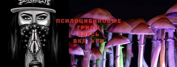 эйфоретик Чекалин