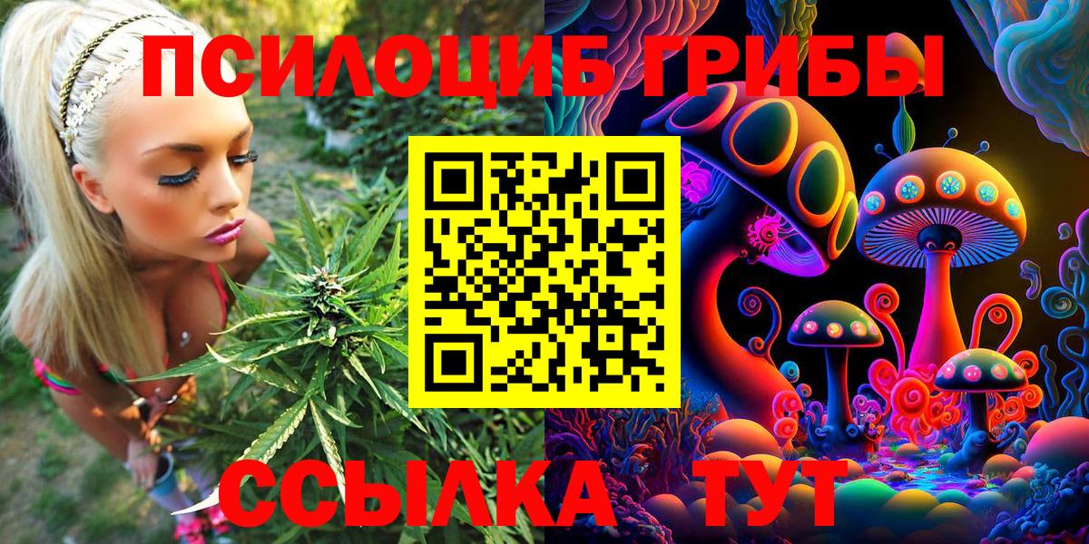 Галлюциногенные грибы Psilocybe  Вход с VPN  Псилоцибиновые грибы MAGIC MUSHROOMS  продажа наркотиков  Качканар 