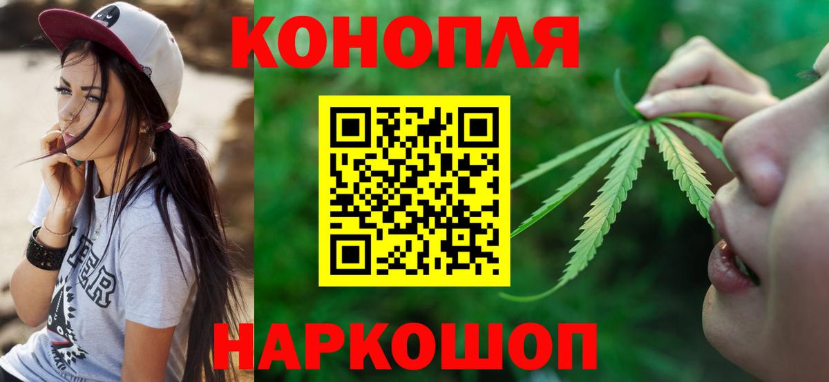 Бошки марихуана OG Kush Качканар
